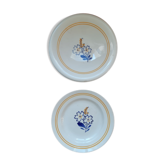 Lot de 1 plat et 1 assiette Sarreguemines