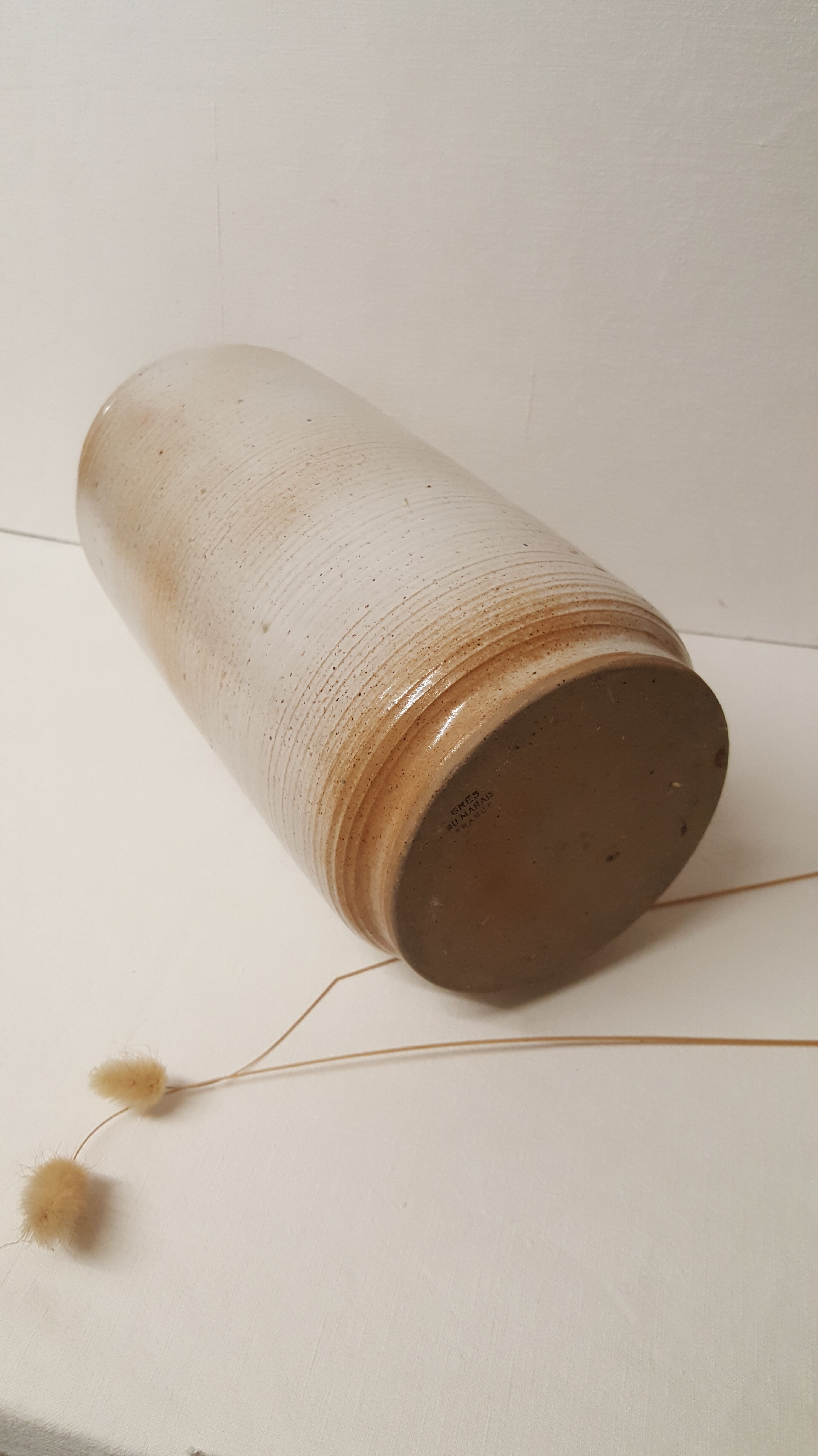 Sandstone from the marsh. shades of light beige and brown.