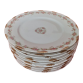 9 plates limoges haviland, years 1230