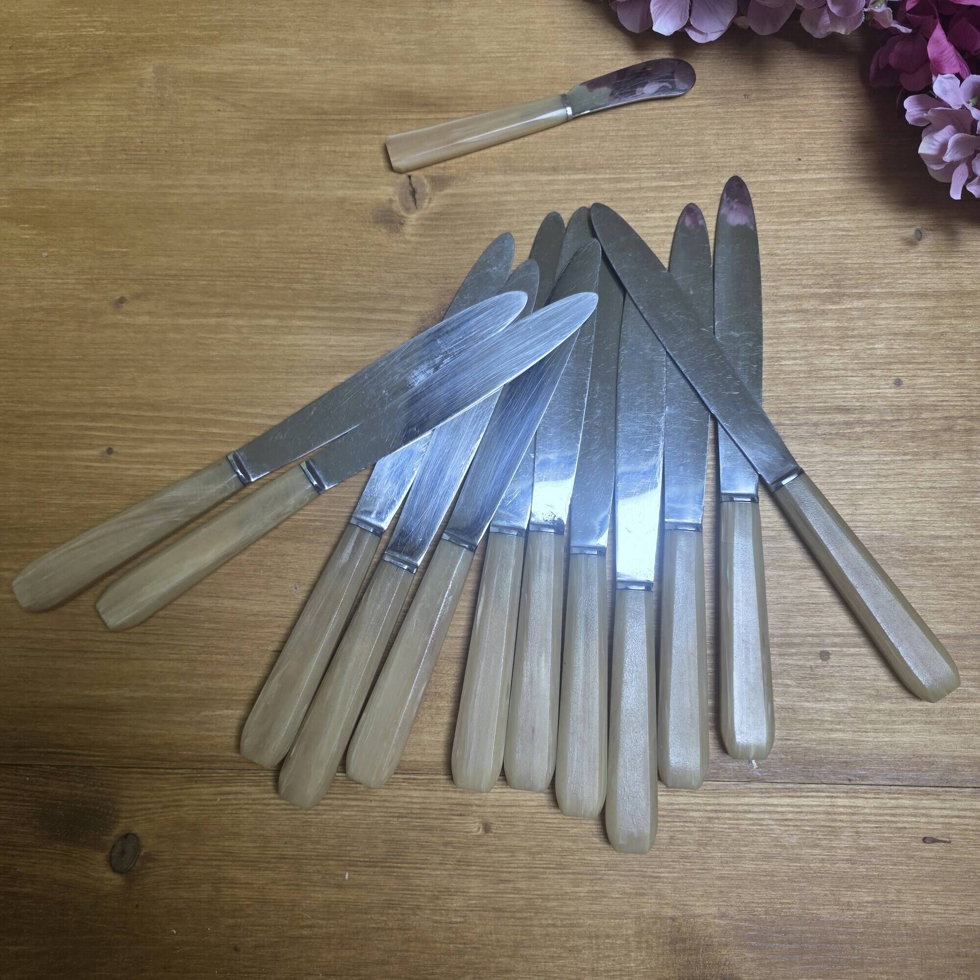 12 vintage knives in a box + 1 butter knife