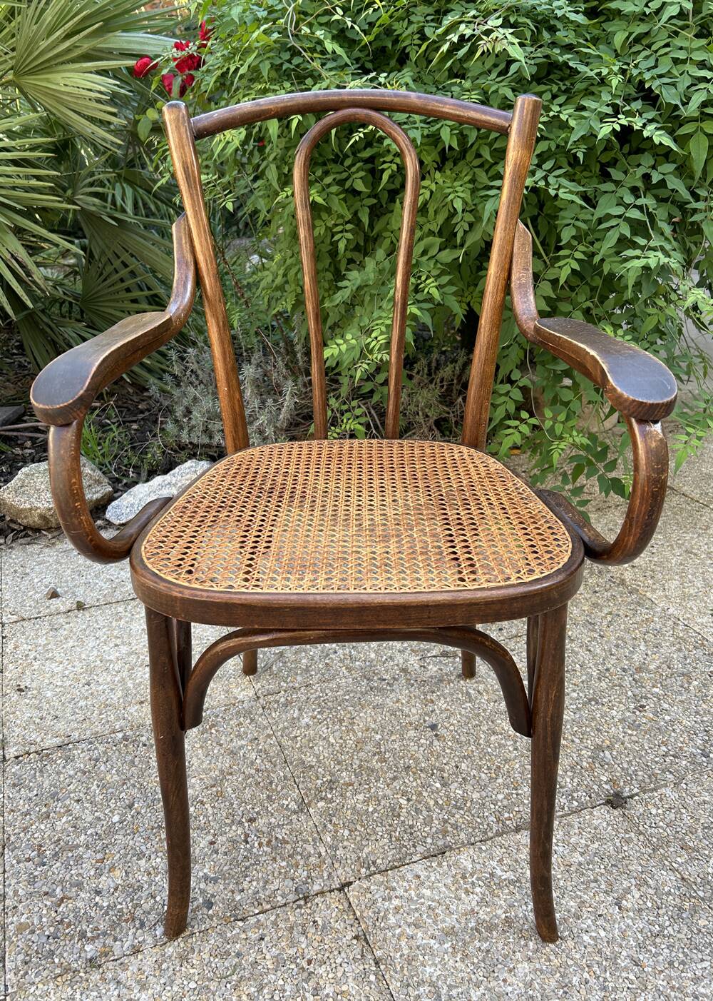 Baumann caned curved wooden armchair, 1900