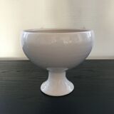Coupe cache pot sur pied