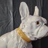 Bouledogue français en céramique manufacture de bavent 1900 france.