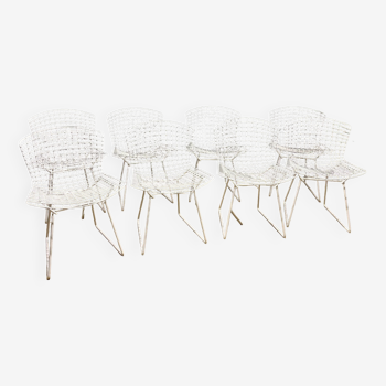 8 Vintage Harry Bertoia Wire Mesh Chairs White Lacquered Knoll
