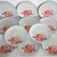 11 Winterling Marktleuthen Bavaria 70's dinner plates