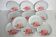 11 Winterling Marktleuthen Bavaria 70's dinner plates