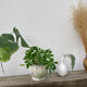 White ceramic pot cache in old flower slip