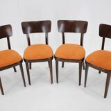 1950s Set of Four Restored Dining Chairs, Czechoslovakia