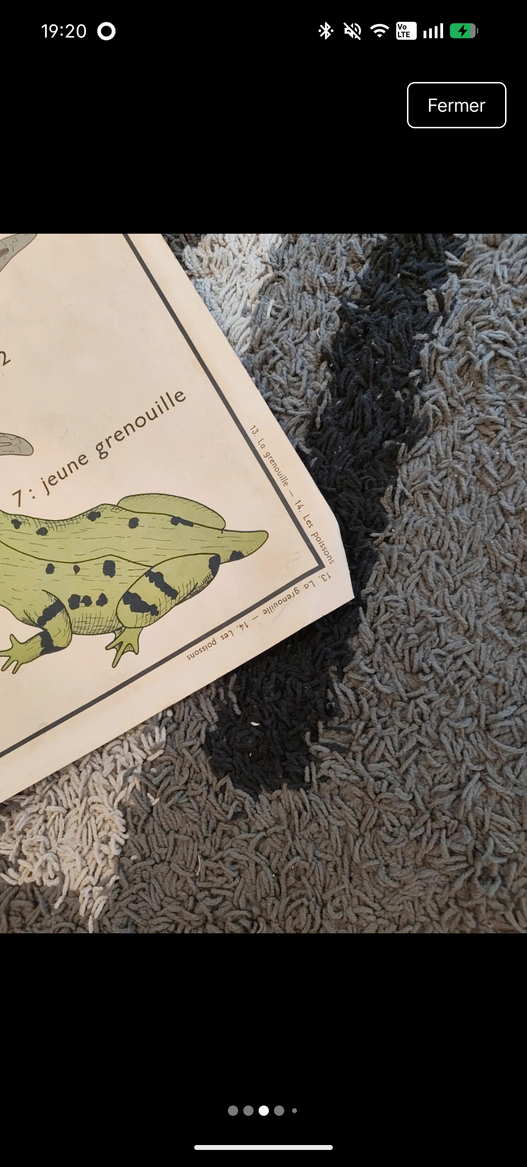 School poster the fish/the frog. Nightingales