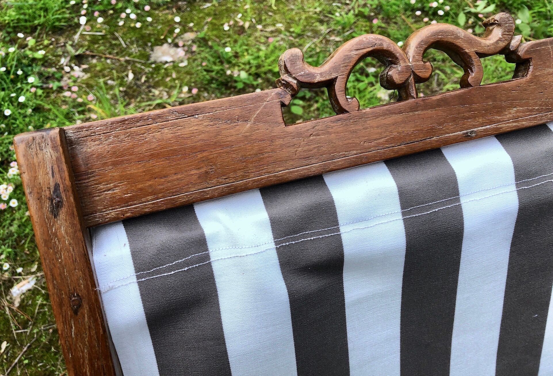 Chilean ancient teak