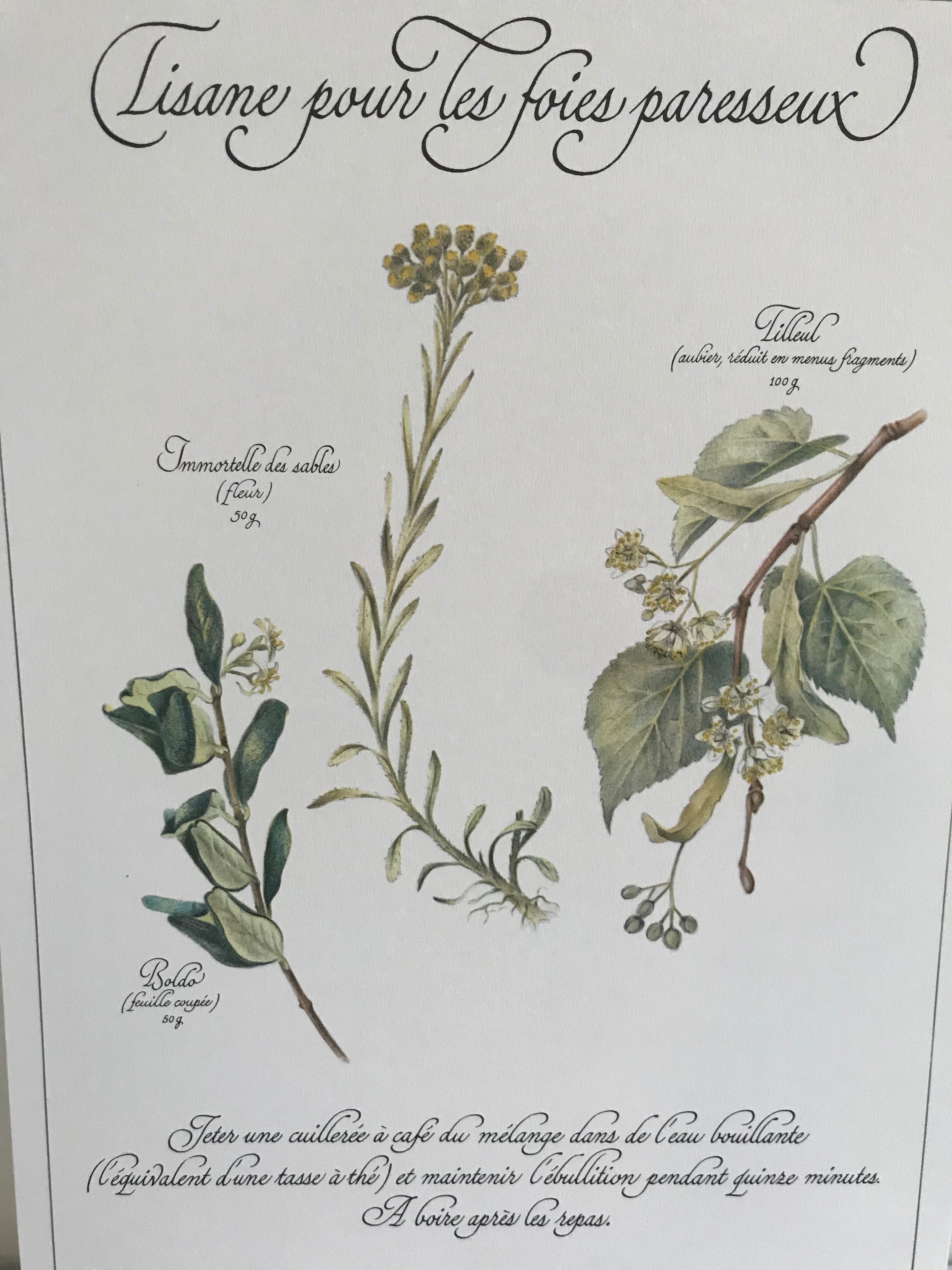 Vintage botanical board