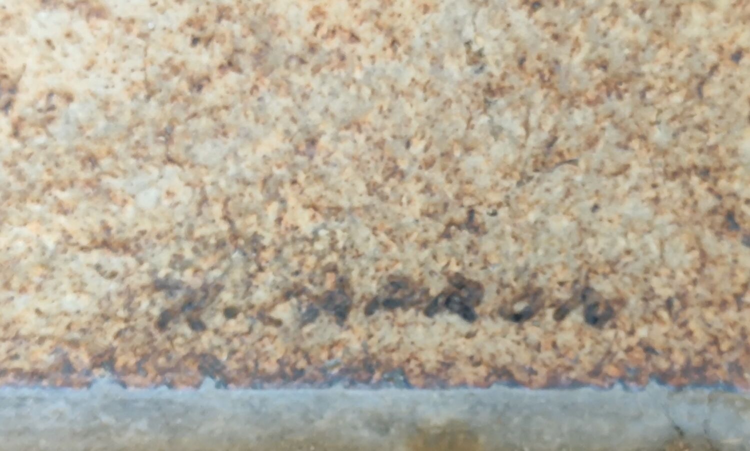 Coffee table herbarium décor Roger Capron Vallauris