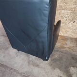 Leather club armchair from the Roset brand