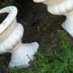 Pair of vases in reconstituted white stone