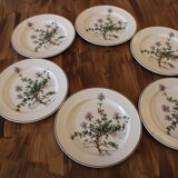 6 plates Villeroy and Boch Botanica