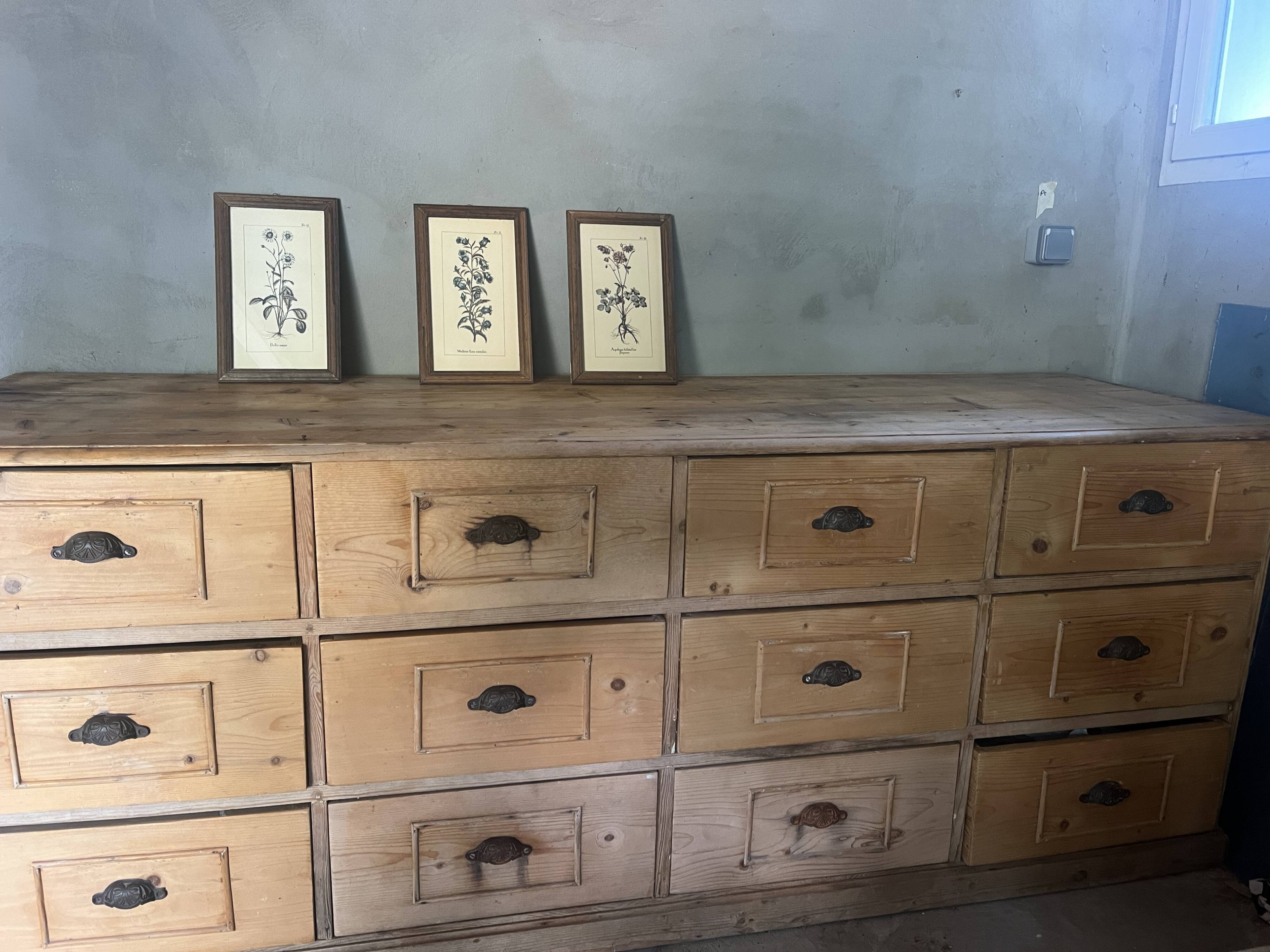 professional furniture