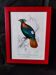 Lithographie couleur, Gallinacés, J.C. Fournier