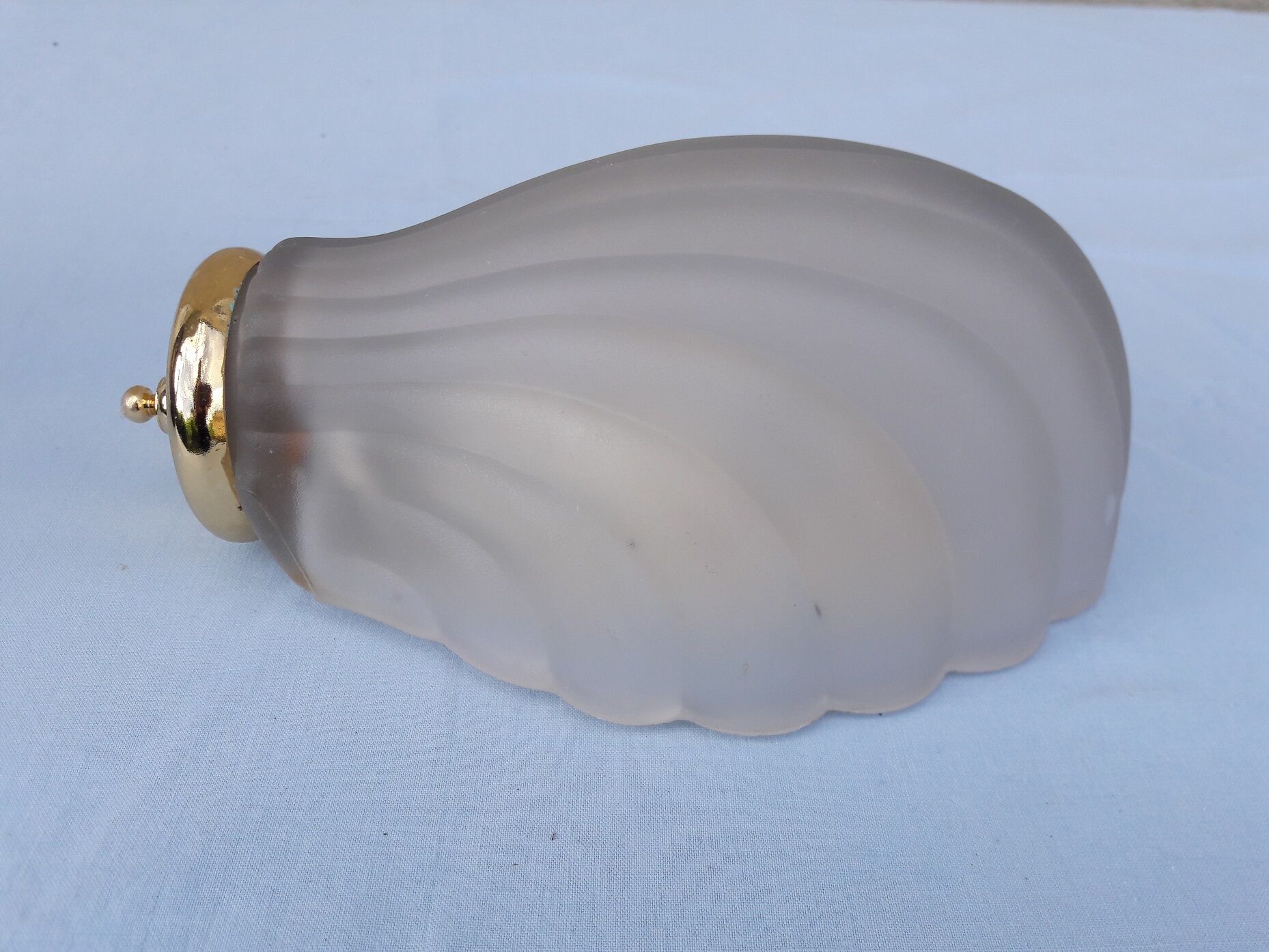 Shell wall lamp