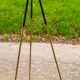 Vintage stand camera