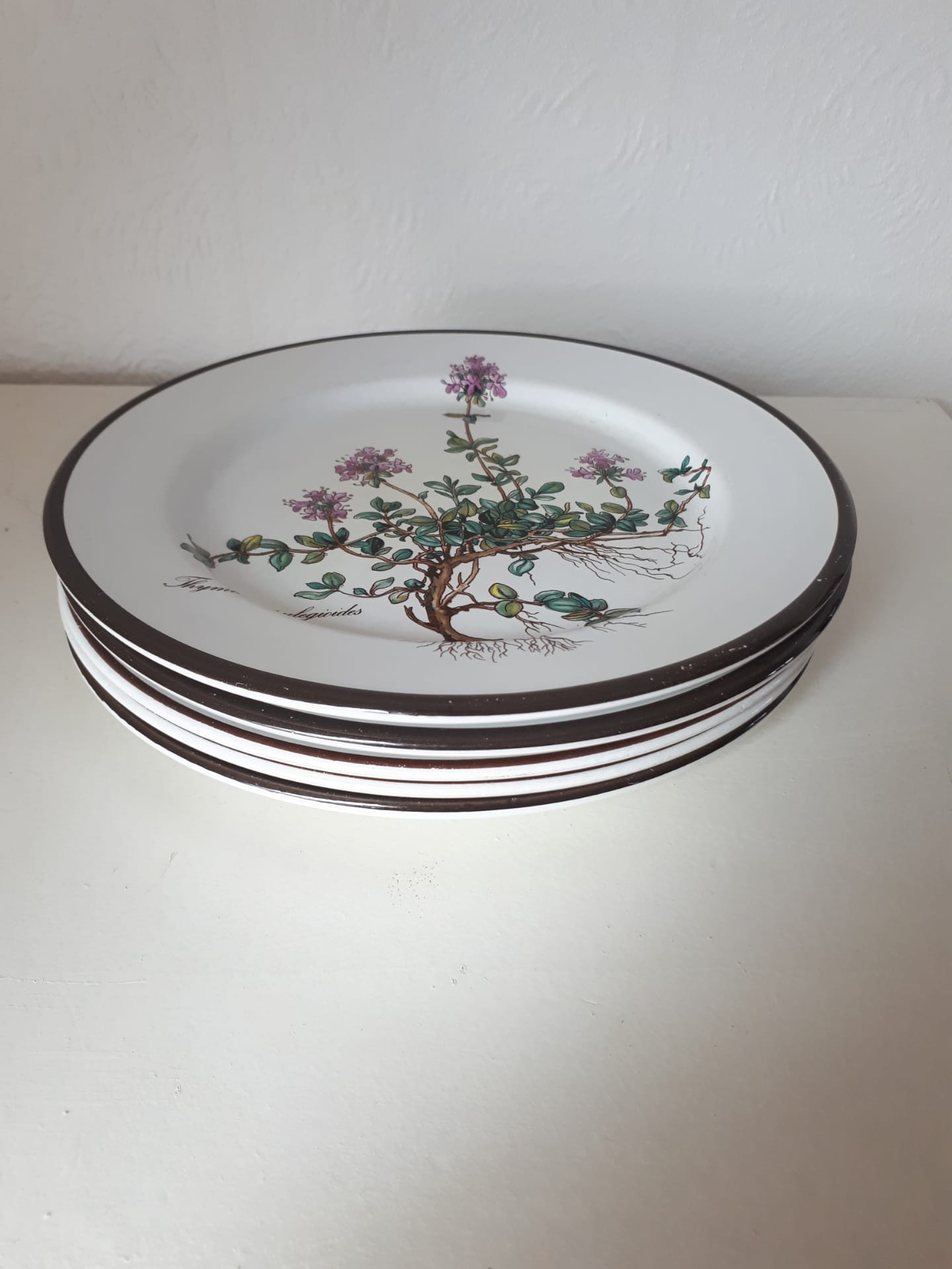 Lot of 5 dessert plates "Thymus" from the Botanica de Boch service