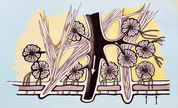 Wall poster of the school by Jung-Koch-Quentell "water sponges" 1972