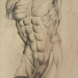 4 Quatre dessins académiques anatomiques du début du XXe siècle