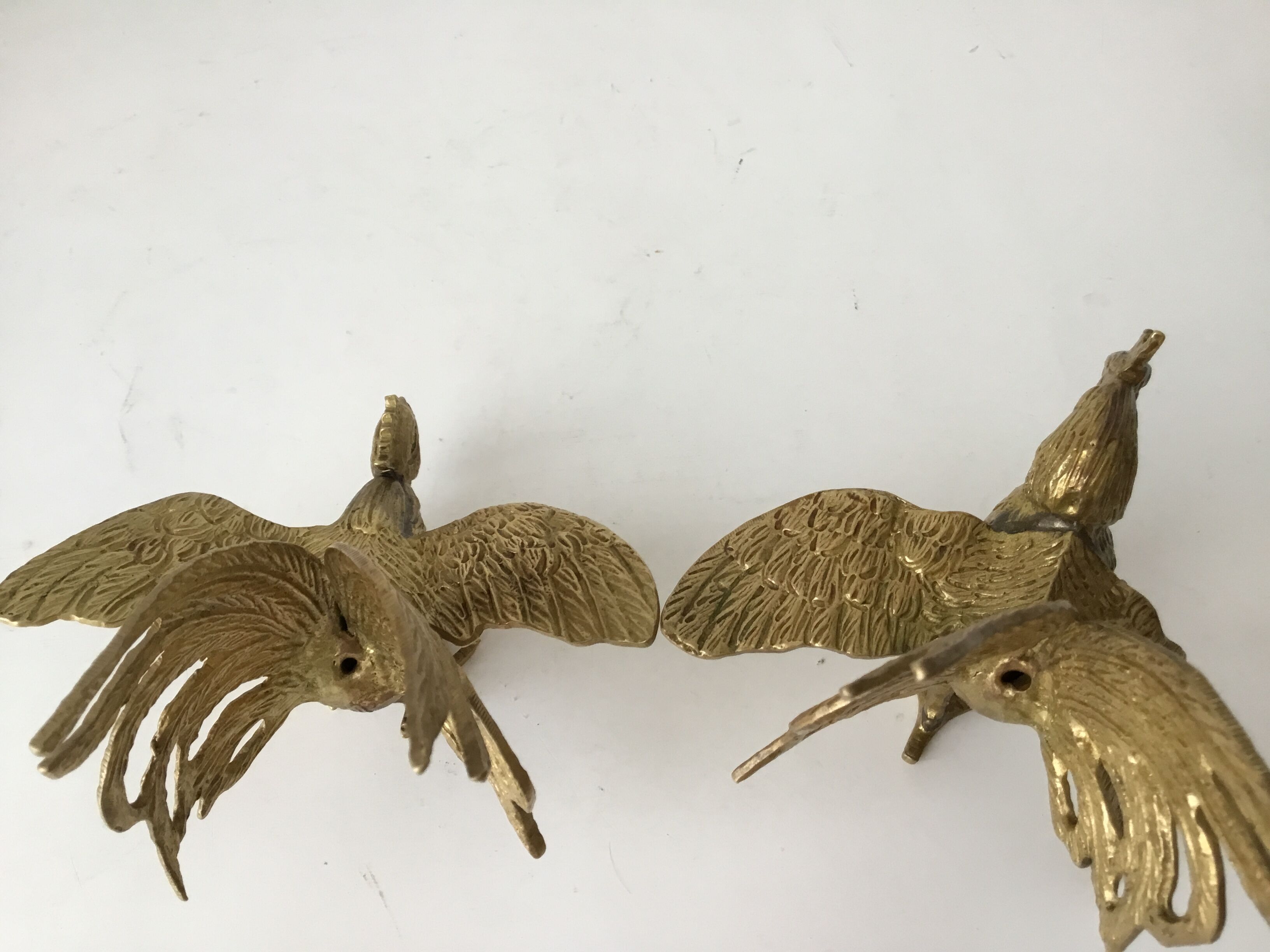 Couple de coqs au combat