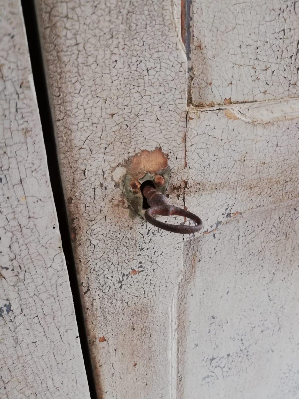 Old Parisian wardrobe 19th century