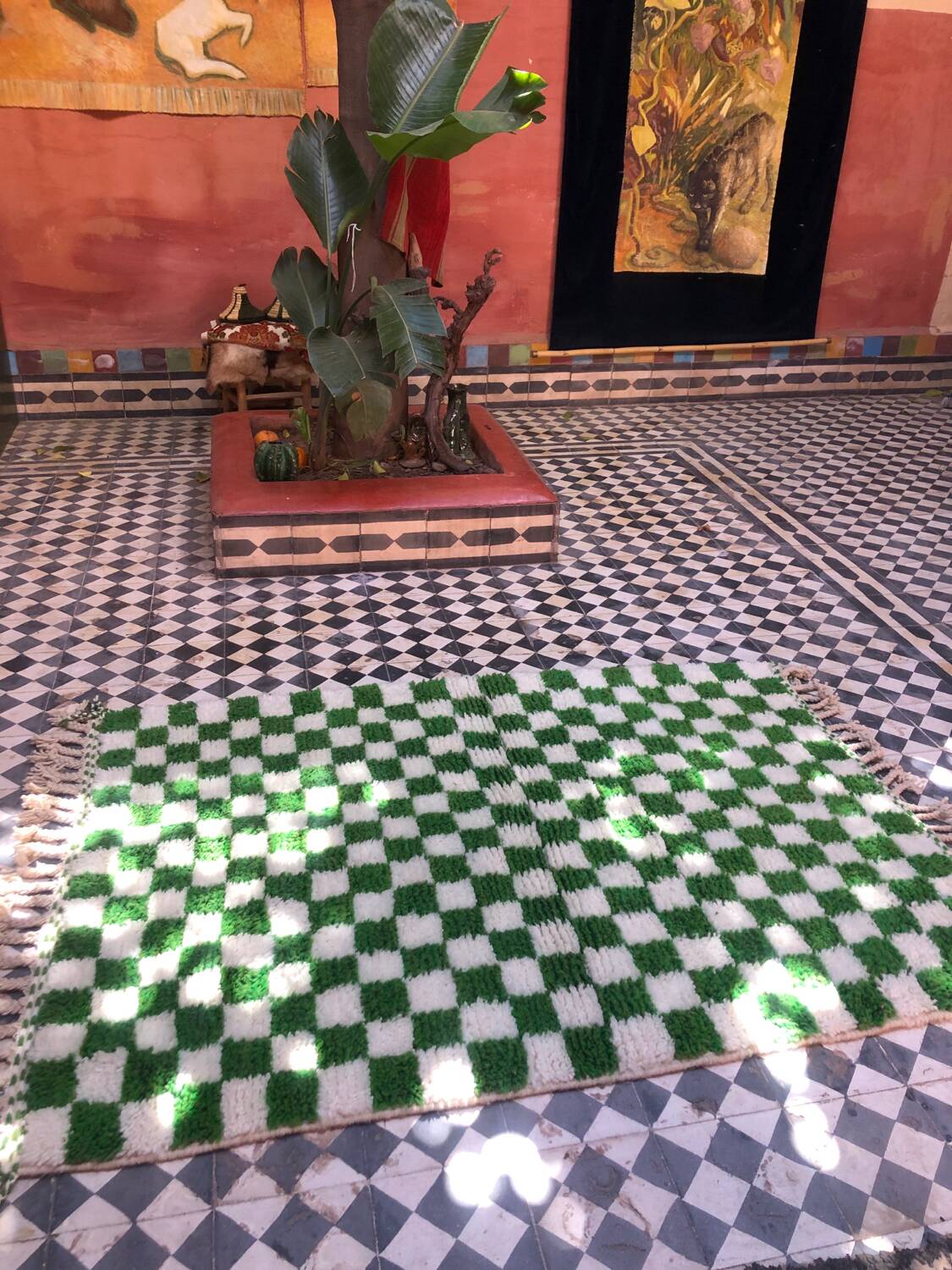 Cactus Green Rug 170x120cm