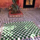 Cactus Green Rug 170x120cm