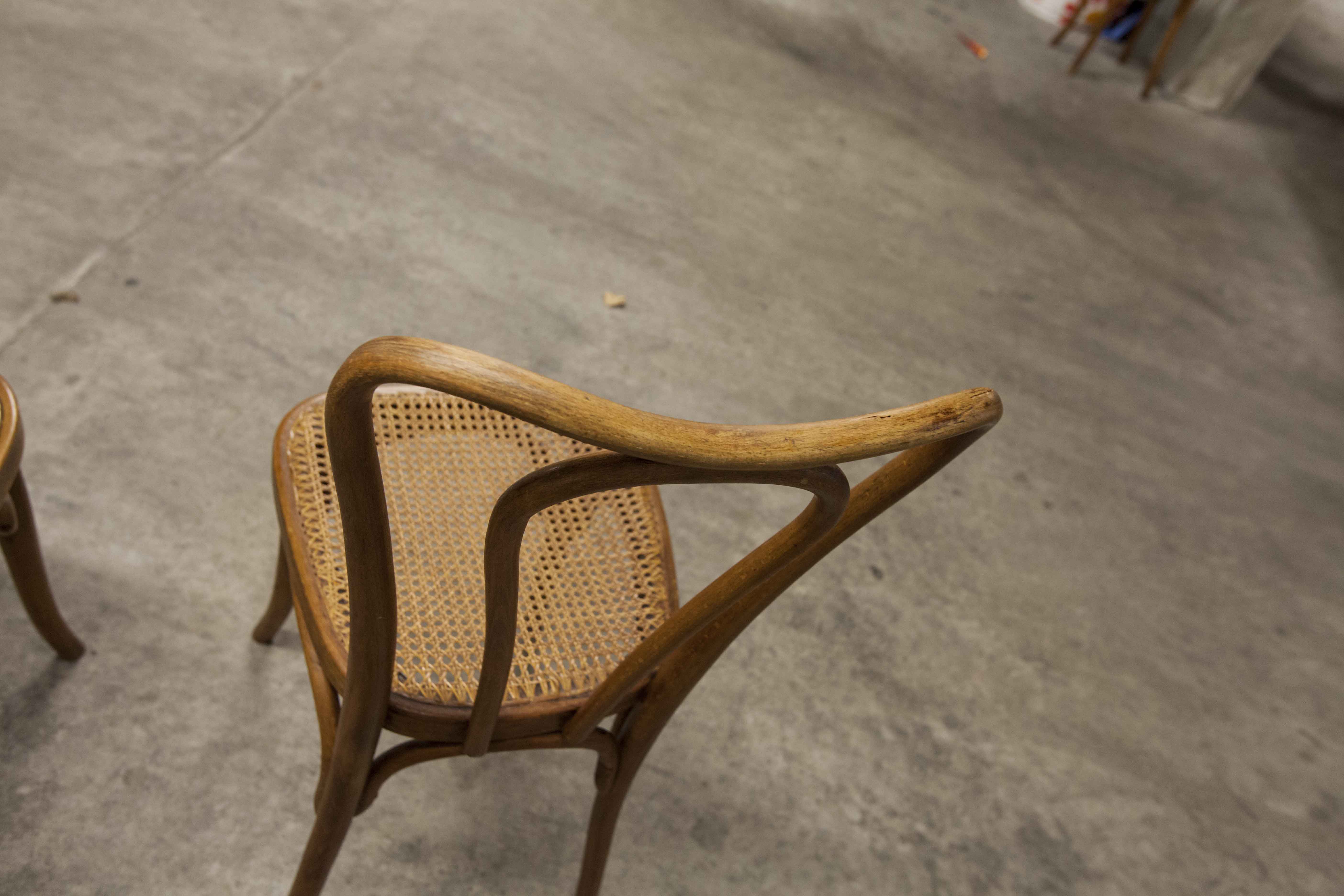 Set of 6 chairs bistro j&j kohn 1900 seat cannage