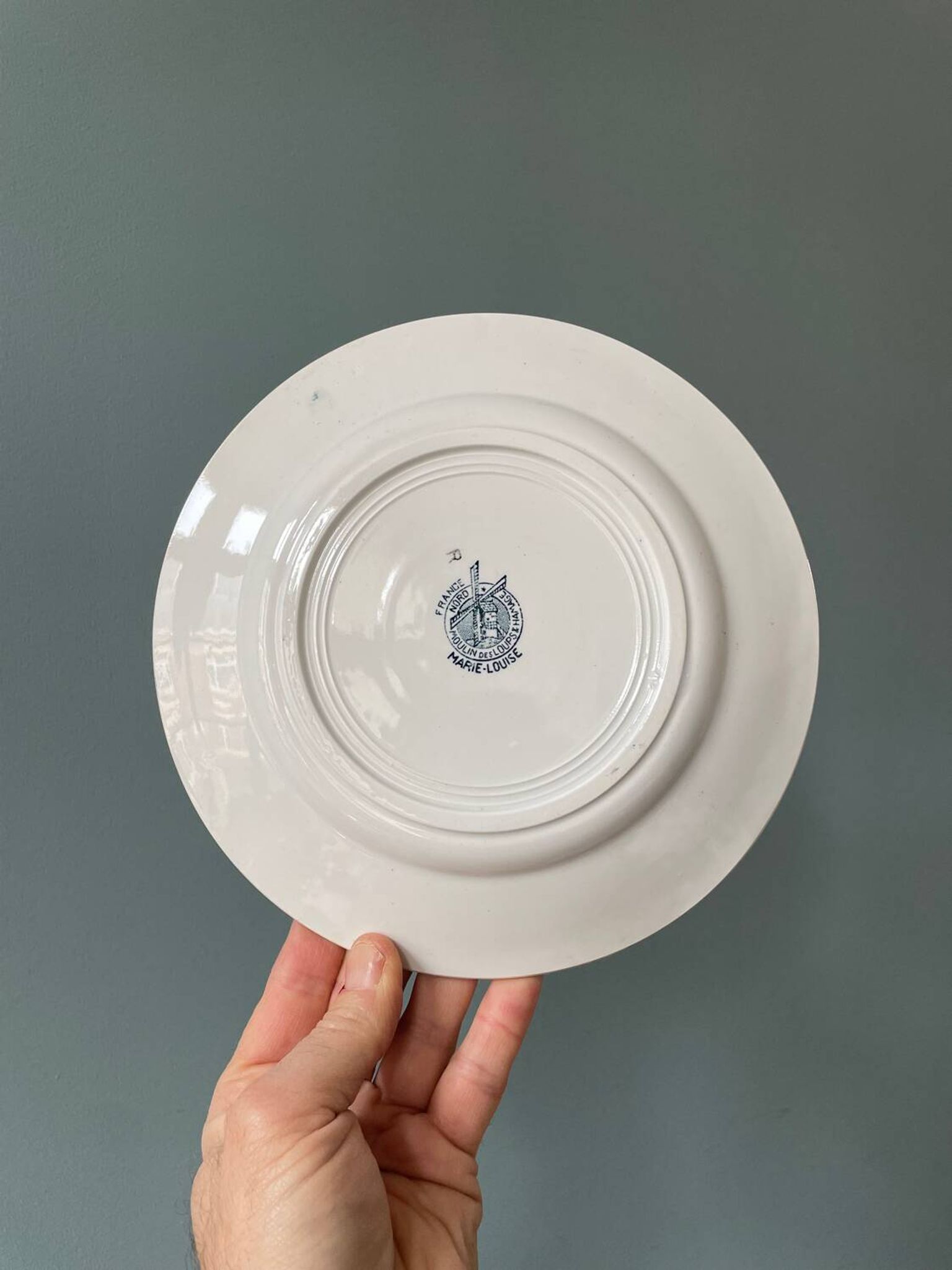 Series of 9 flat plates Terre de Fer “Marie-Louise” St Amand and Hamage