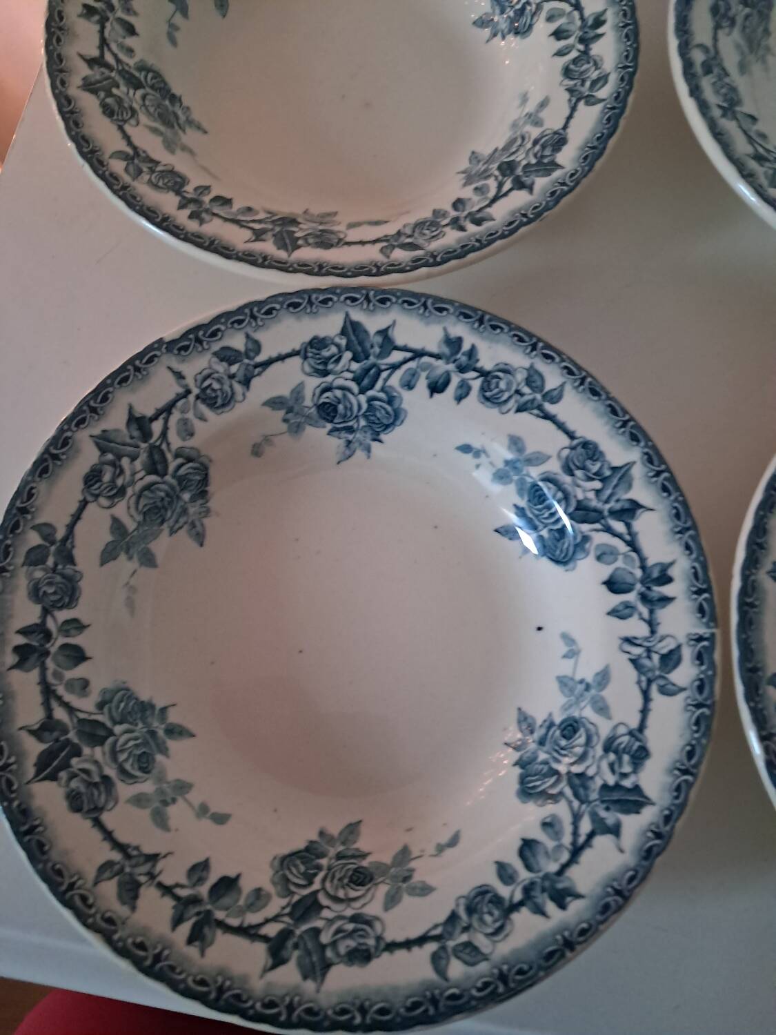 Plates crown of roses. Iron earth