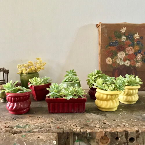 Ceramic pots for plants