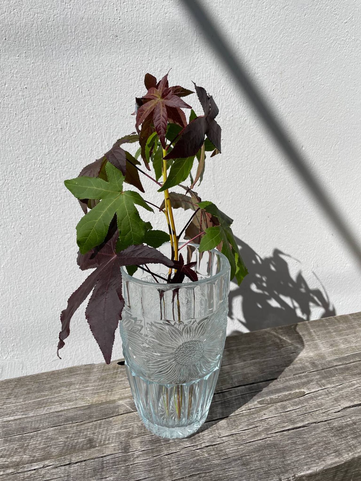 Glass sunflower vase 1990