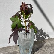 Glass sunflower vase 1990