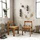 Duo de chaises pin