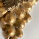 Golden wood mid-19th bunch of grape leaf vine pediment part Bacchus