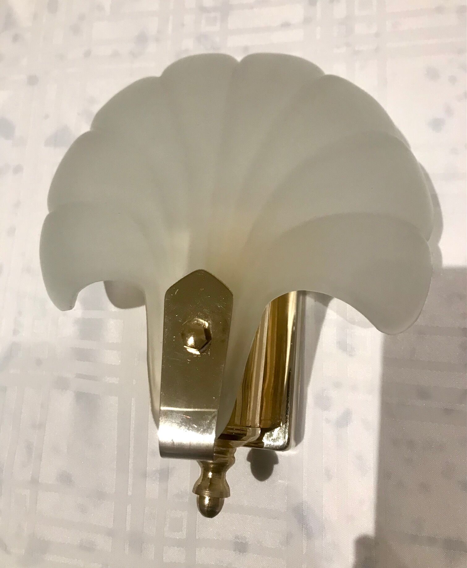 Pair of shell sconces