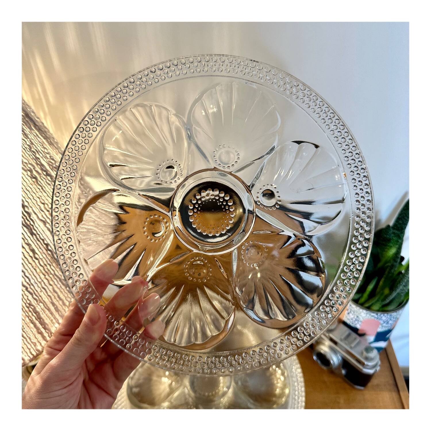 Set of 6 glass oyster plates