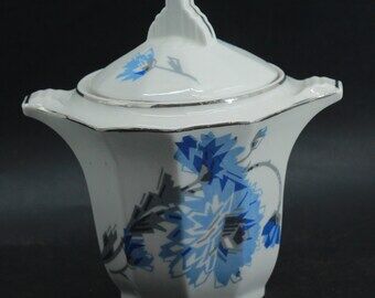 Vintage blue flower coffee service