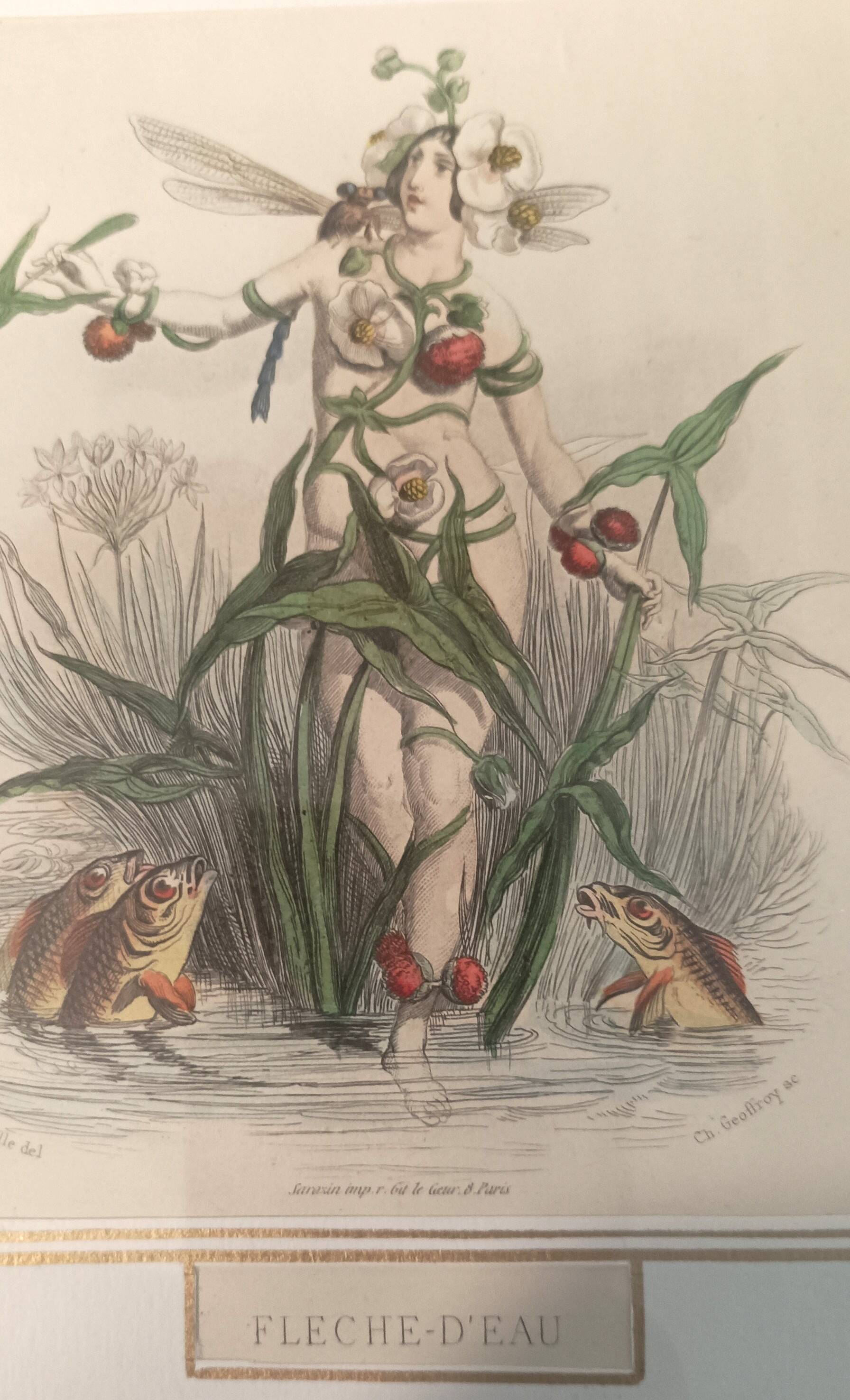 Animated Flowers Frame by JJ Grandville - Water Arrow