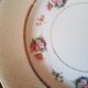 6 earthenware plates by Salins