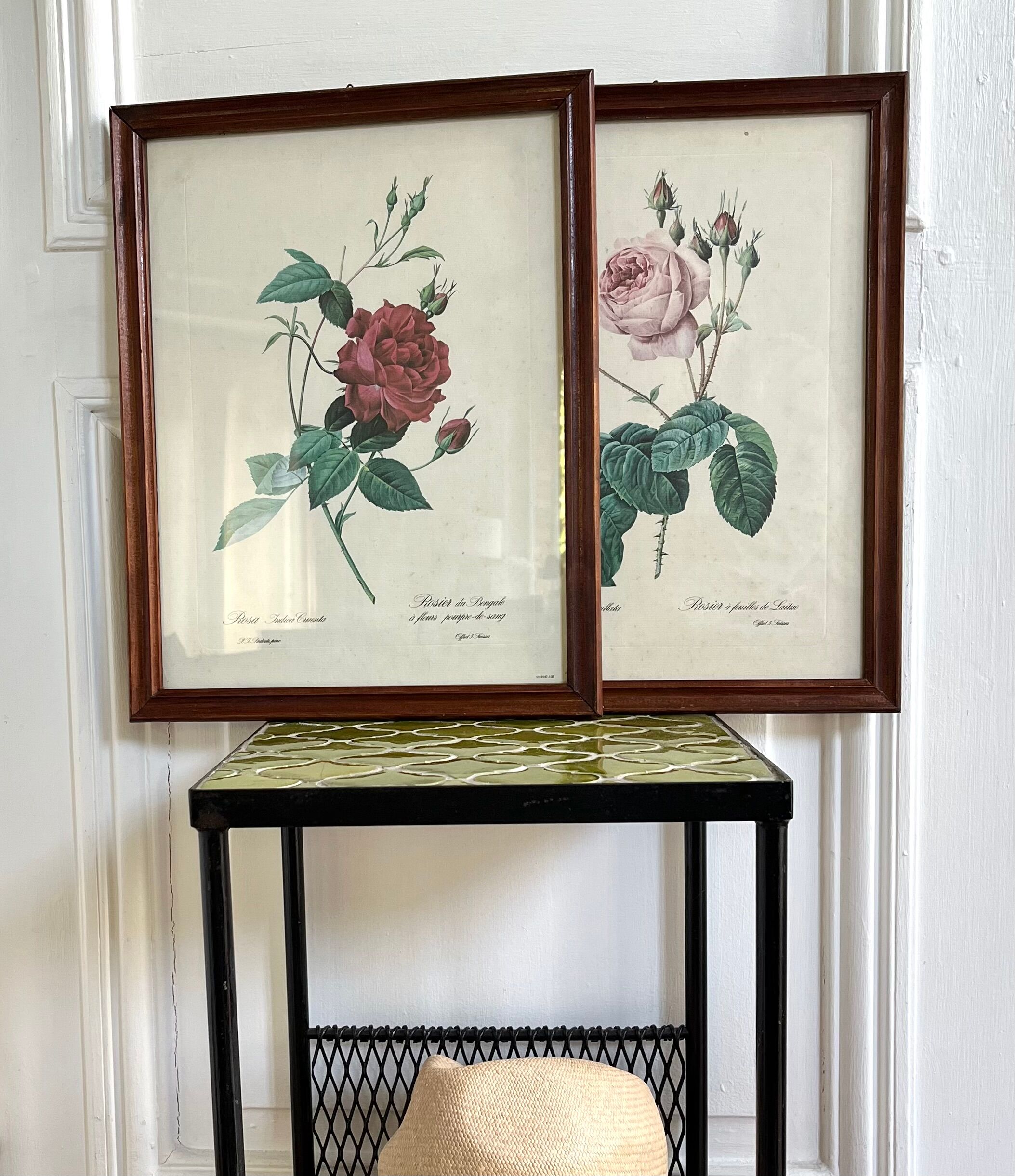 Framed pink botanical posters