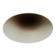 Nickel Plated Sela/ Gela 55 Wall or Ceiling Lamp by Florian Schulz
