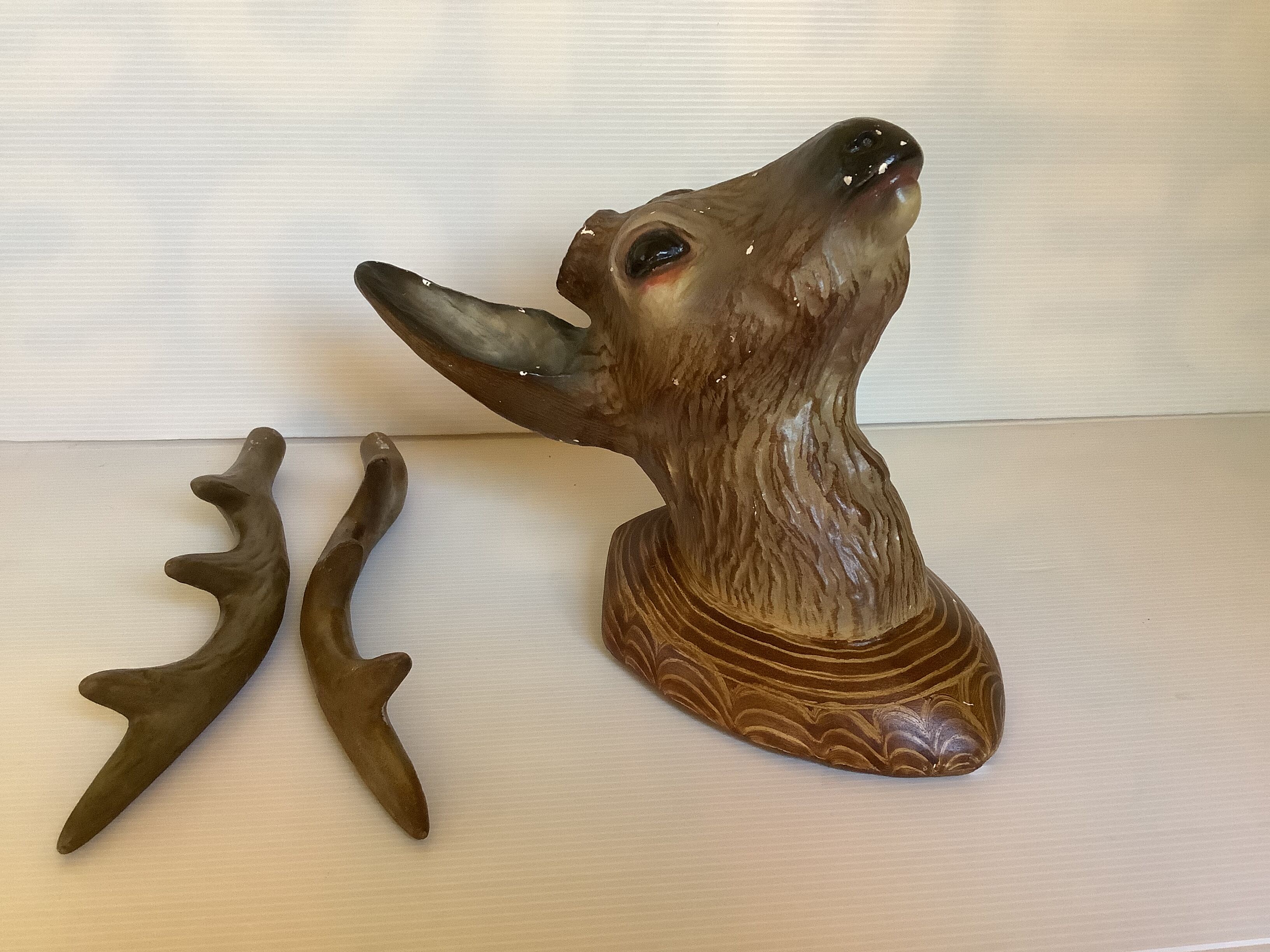 Former deer trophy