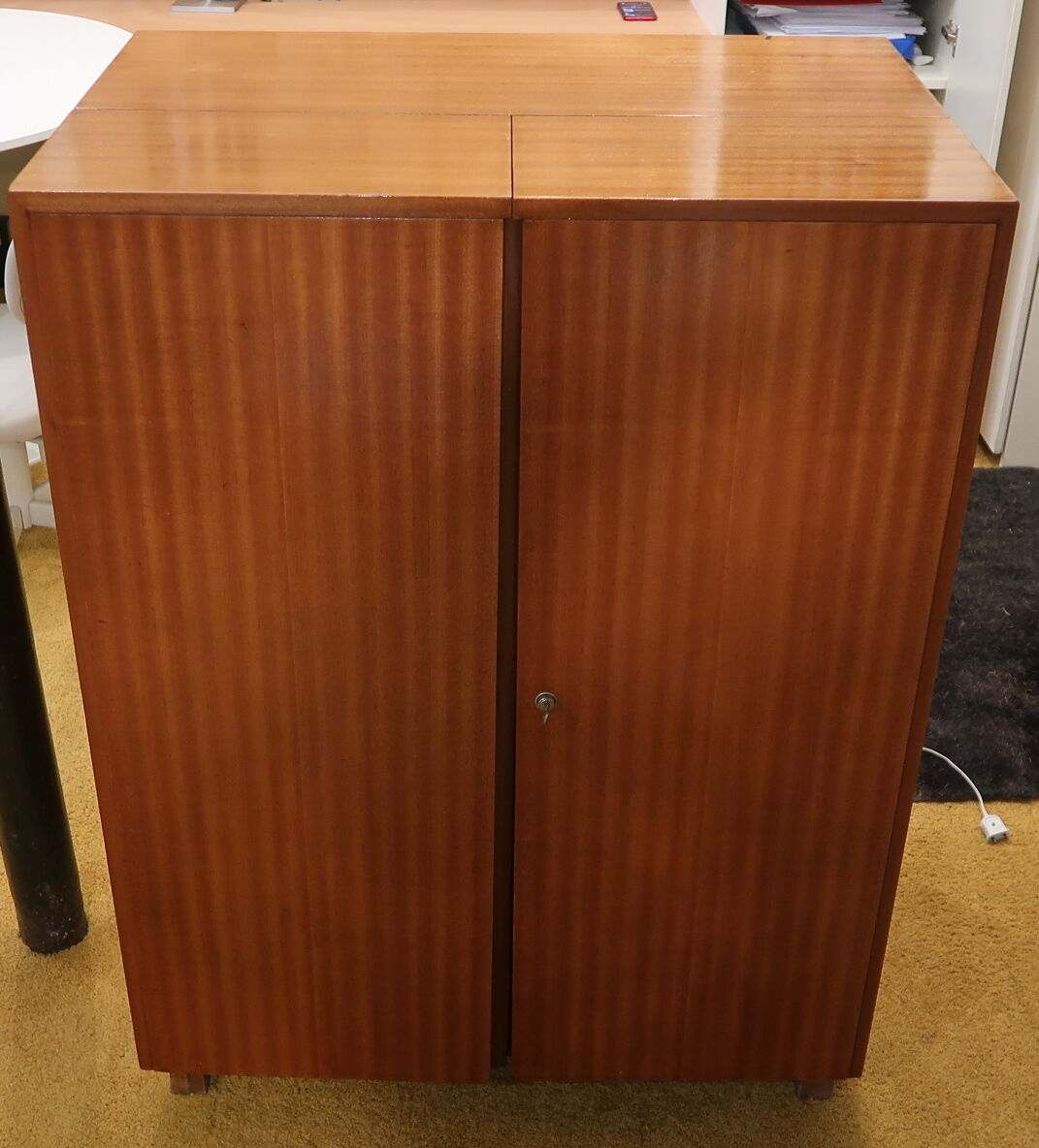 Office trunk Magic Box wood veneer design