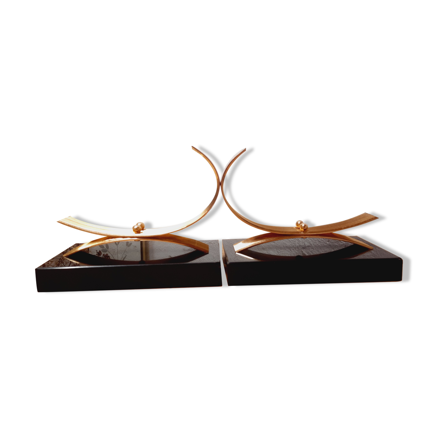 Modernist book greenhouse