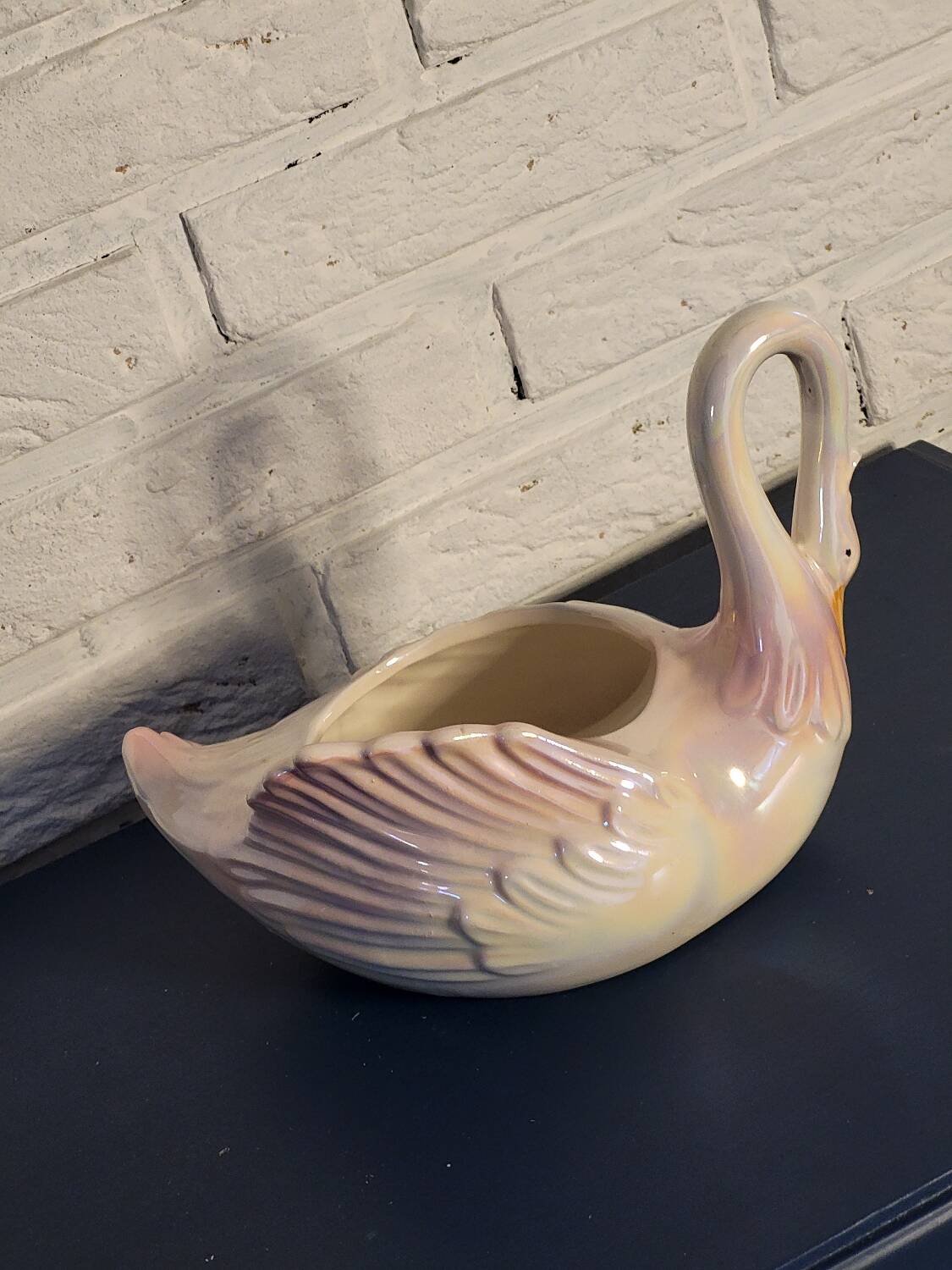 Swan plant pot