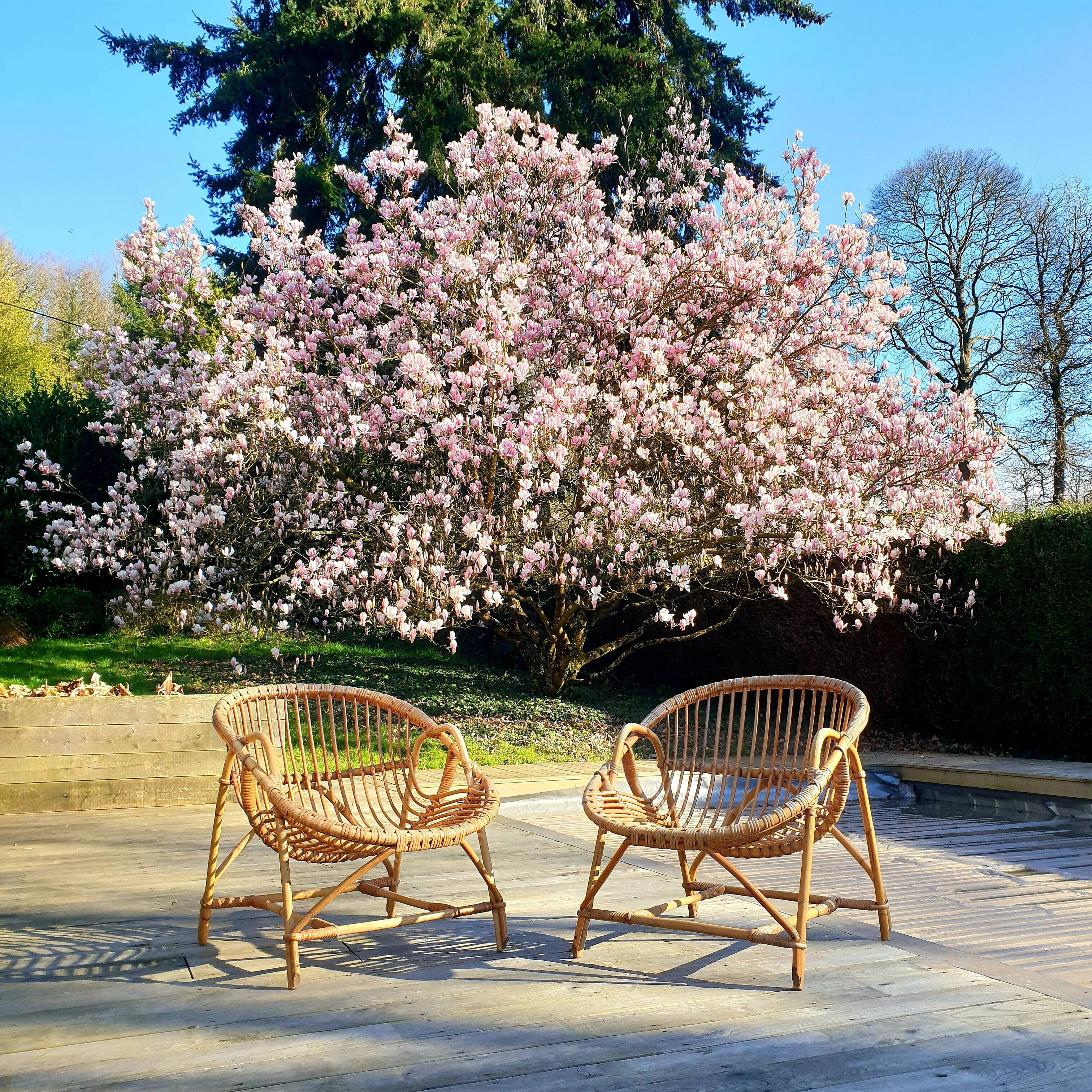 Paire de fauteuils en rotin corbeille vintage années 60